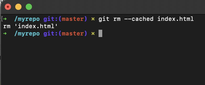 remove file from git stage area
